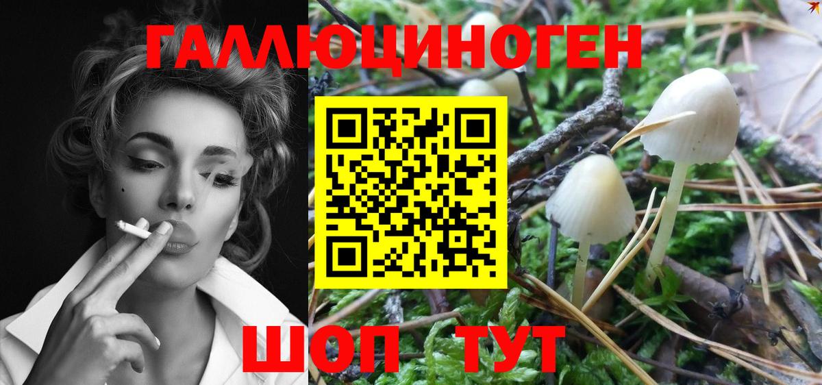 Галлюциногенные грибы Magic Shrooms  Галлюциногенные грибы Psilocybine cubensis  Вход с VPN  Конаково 